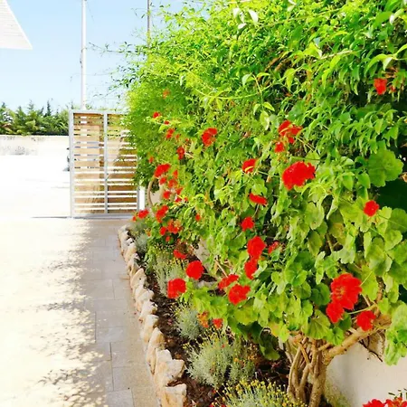 Punta Prosciutto Bed Πανσιόν