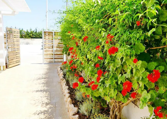 Punta Prosciutto Bed 招待所